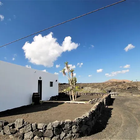 Estudio La Palmita Tao