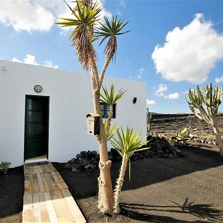Estudio La Palmita * Tao